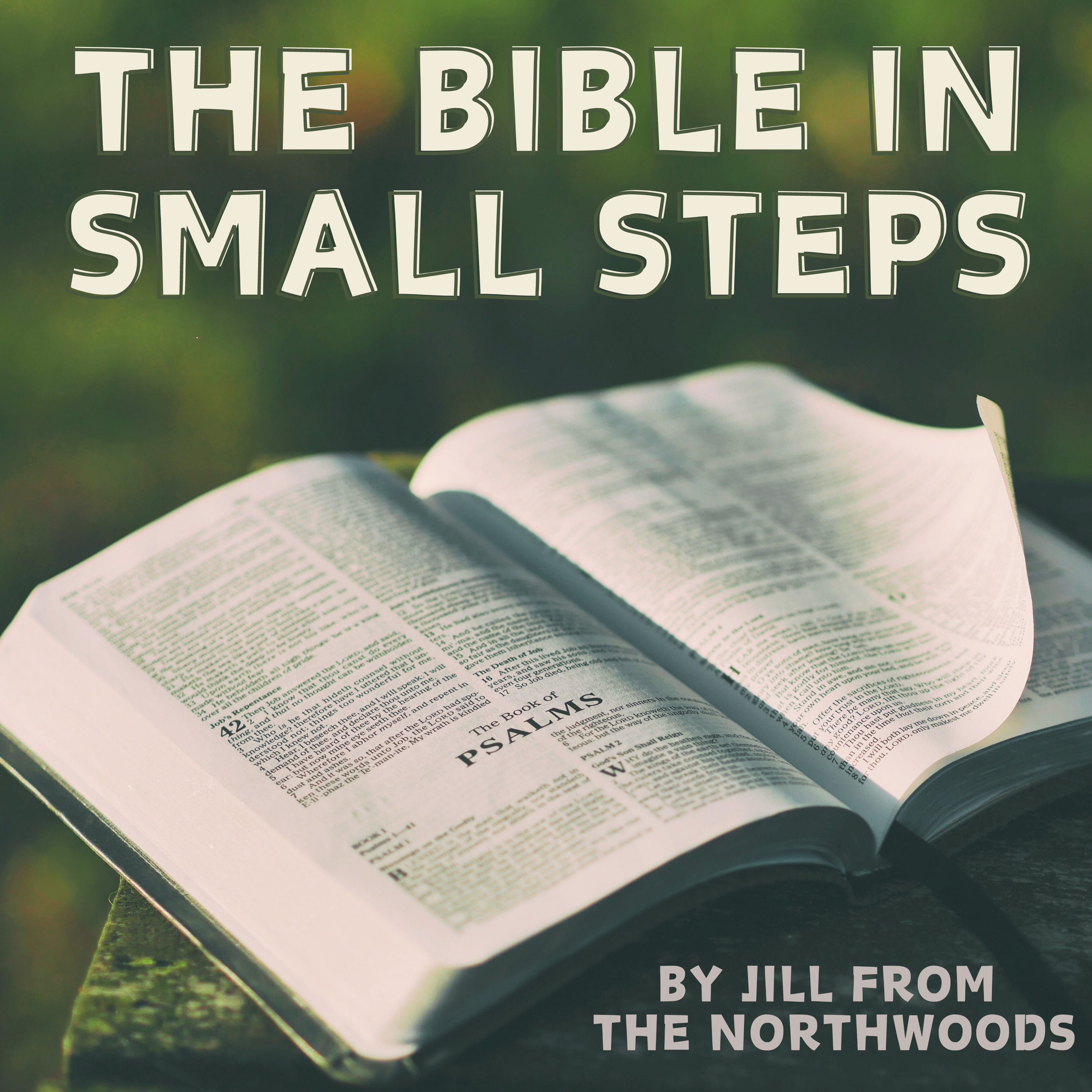 The Bible in Small Steps